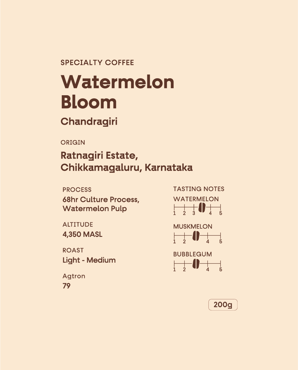 Ratnagiri Estate | Watermelon Bloom