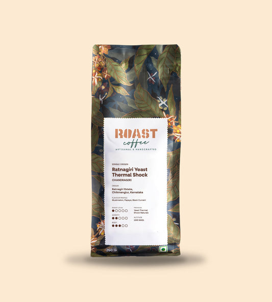 What Is Specialty Coffee? A Complete Guide