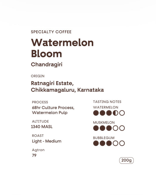 Ratnagiri Estate | Watermelon Bloom