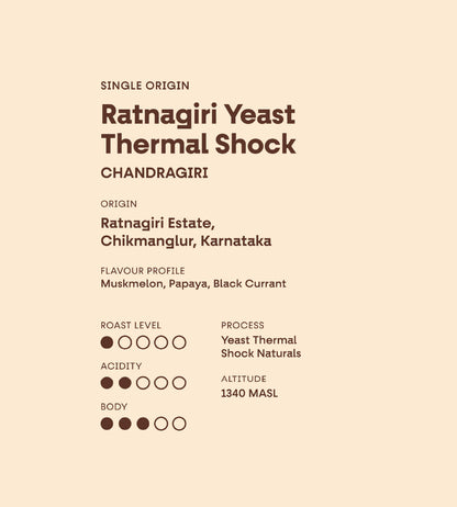 Ratnagiri Yeast Thermal Shock