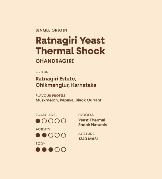 Ratnagiri Yeast Thermal Shock