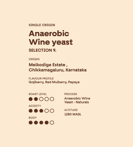 Melkodige Anaerobic Wine yeast