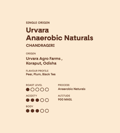 Urvara Anaerobic Naturals