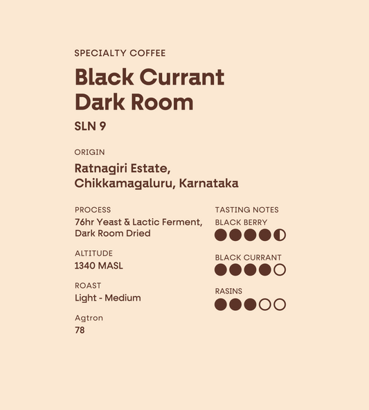 Ratnagiri Estate | Black Current Dark Room