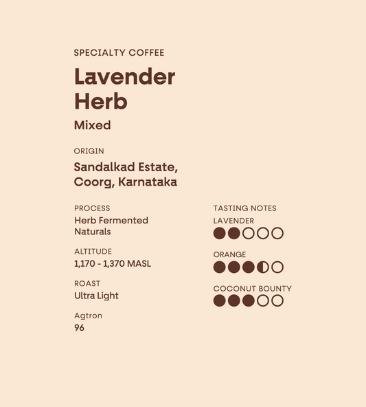 Sandalkad Estate | Lavender Herb
