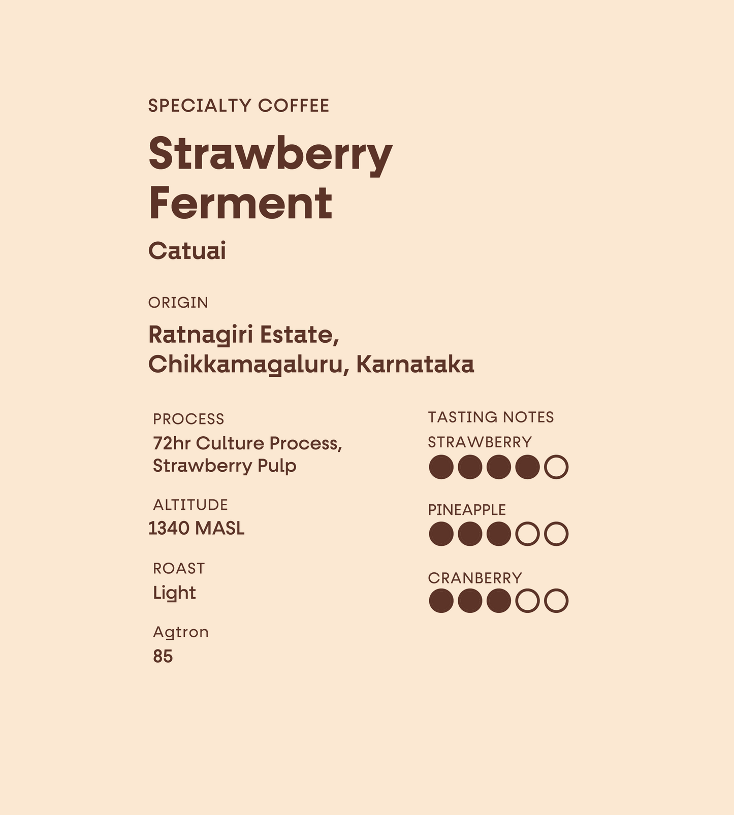 Ratnagiri Estate | Strawberry Ferment