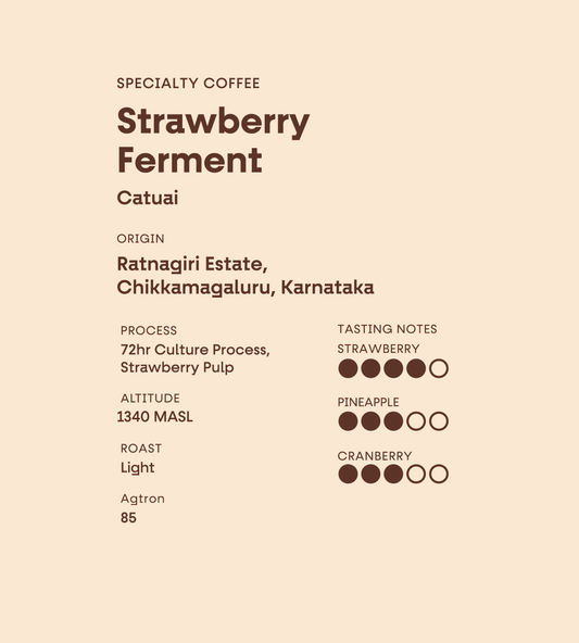 Ratnagiri Estate | Strawberry Ferment