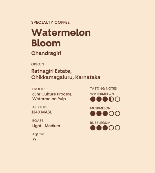 Ratnagiri Estate | Watermelon Bloom